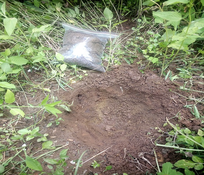 廣西土壤檢測哪家好 廣西土壤檢測哪家好